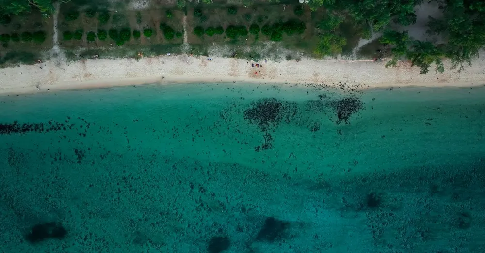 Terre de Blues em Marie-Galante: como reservar hospedagem