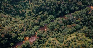 French Guiana's Ti-Punch: When Rum Meets Maracuja, Comou and Amazonian Plants