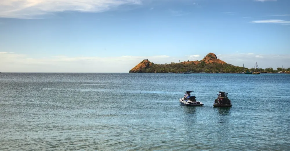 Sea Turtles in Martinique: Nesting Beaches and Night-Watch Rules