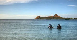 Sea Turtles in Martinique: Nesting Beaches and Night-Watch Rules