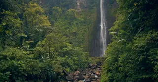 Saut Gendarme e as cachoeiras escondidas do centro da Martinica