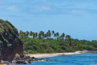 Trace des Caps : randonnée littorale du Sud sauvage entre Sainte-Anne et Le Marin