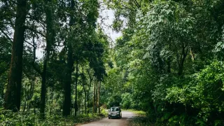 Se déplacer en Guyane : taxi, VTC, bus ou voiture de location ?