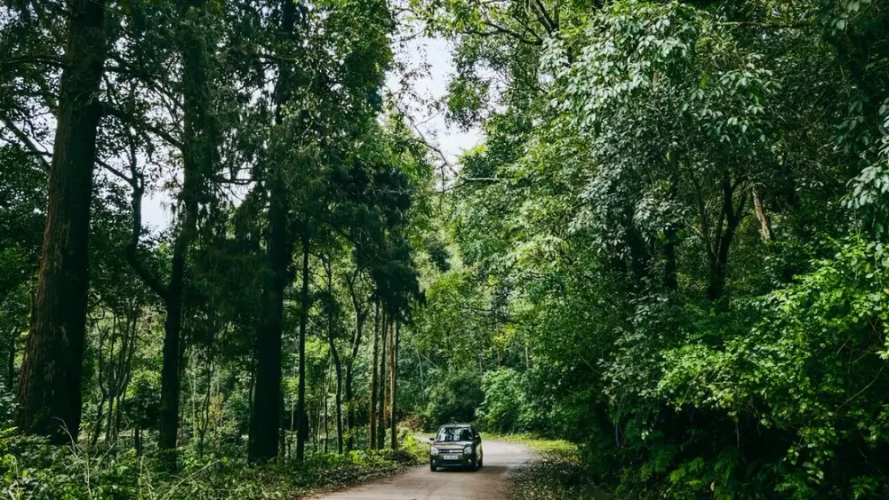 Se déplacer en Guyane : taxi, VTC, bus ou voiture de location ?