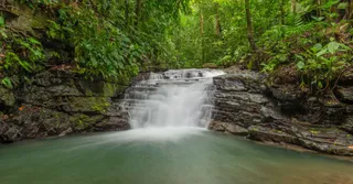 Trekking en la selva amazónica de Guayana Francesa: niveles, guía y equipo