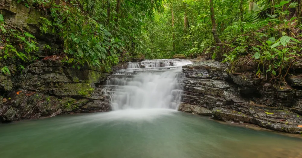 Trekking en la selva amazónica de Guayana Francesa: niveles, guía y equipo