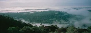 Trek vers un inselberg en Guyane : préparer son ascension d'un dôme rocheux en forêt primaire