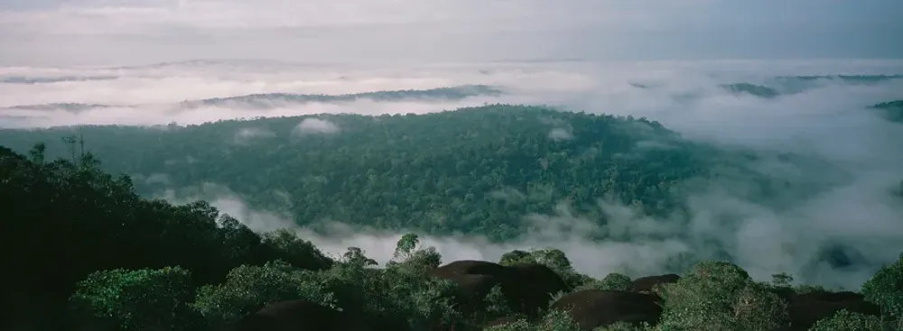 Trek vers un inselberg en Guyane : préparer son ascension d'un dôme rocheux en forêt primaire