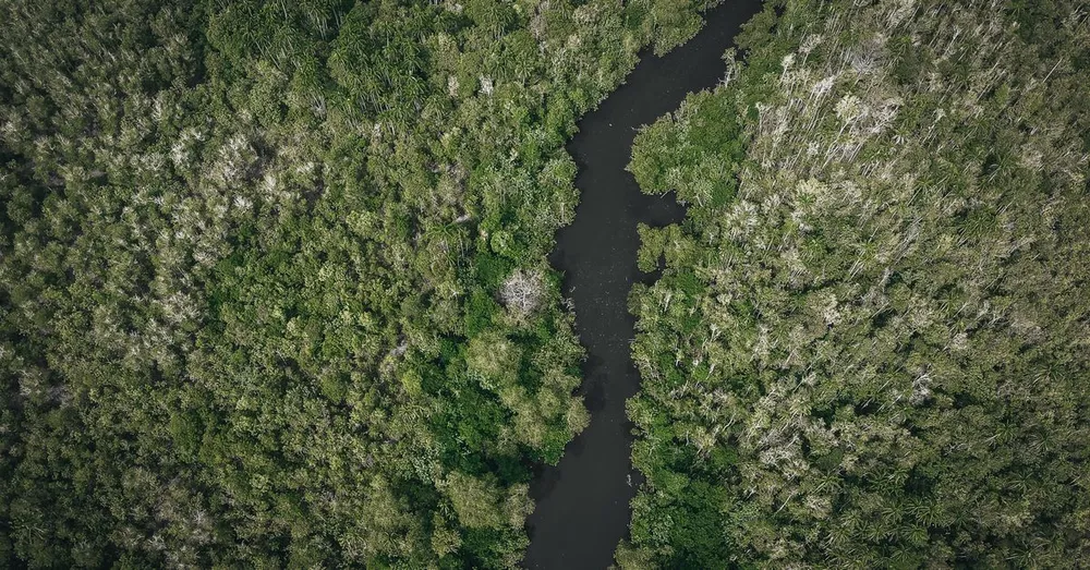 Trois-Sauts and the Upper Oyapock: Deep Amazonian French Guiana