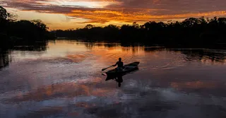 Vaccines for French Guiana: Yellow Fever, Malaria and Your Travel Health Kit