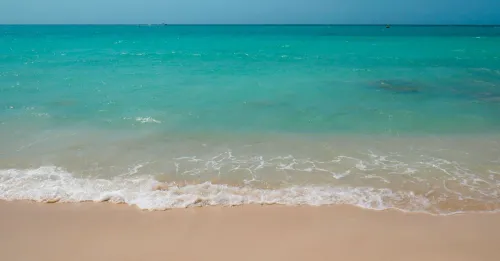Louer une villa proche plage en Guadeloupe : statut LMNP et taxe de séjour