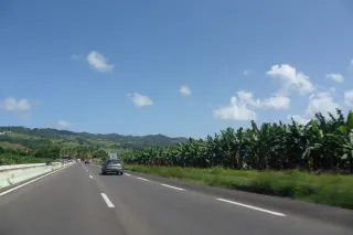 在马提尼克用车：买车还是租车？
