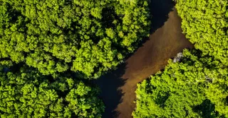 Viajar solo a la Guayana Francesa: organización, seguridad y encuentros