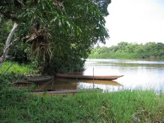 Voyage solo en Guyane : organisation, sécurité et rencontres