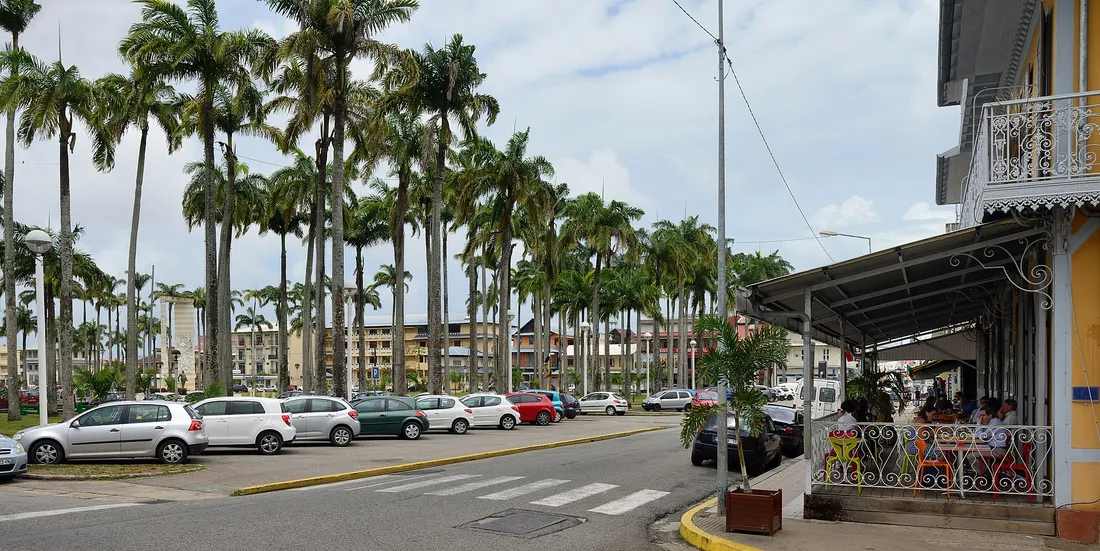 Rue bordée de palmiers royaux le long de la place des Palmistes à Cayenne, en Guyane, avec des maisons créoles à balcon et des voitures en stationnement