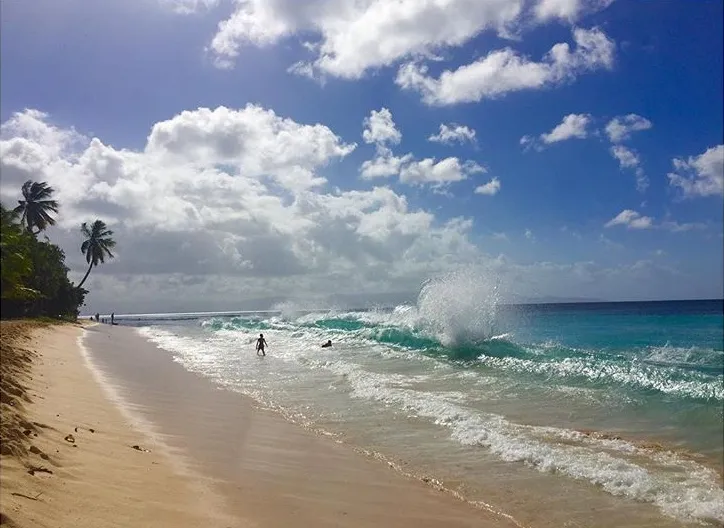 Plage du Souffleur a Port-Louis en Guadeloupe, sable blanc, cocotiers et eau turquoise sous un ciel ensoleille
