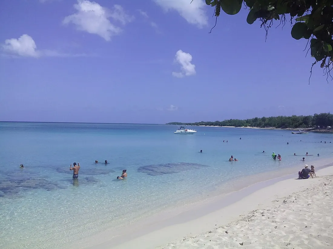 Plage de sable blanc et eau turquoise a Port-Louis en Guadeloupe avec baigneurs, illustrant l'attractivite touristique qui soutient la demande de locations saisonnieres