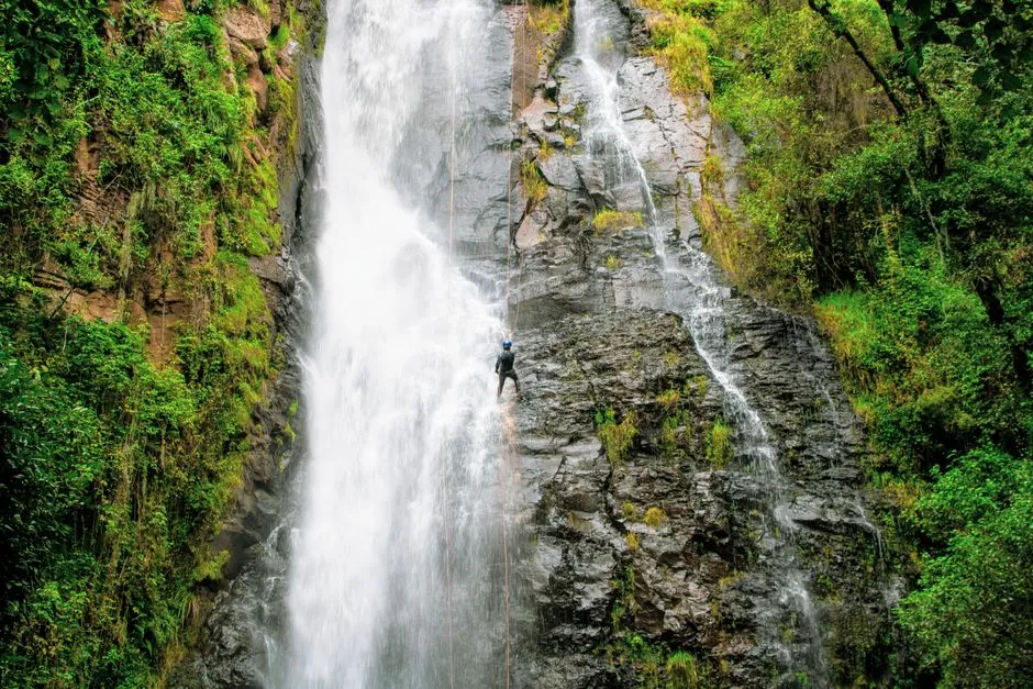 Canyoniste en rappel le long d'une grande cascade dans une gorge de forêt tropicale, illustrant le canyoning