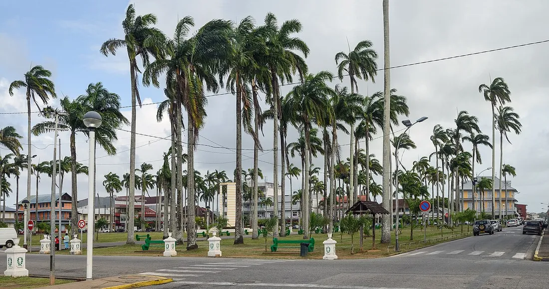La Place des Palmistes de Cayenne plantée de grands palmiers royaux, bordée par les bâtiments colorés du centre-ville guyanais