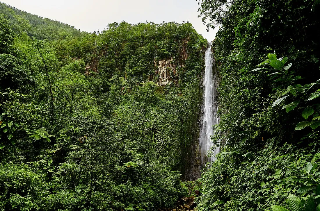 Deuxieme chute du Carbet en Guadeloupe, haute cascade tombant le long d'une falaise au milieu de la foret tropicale