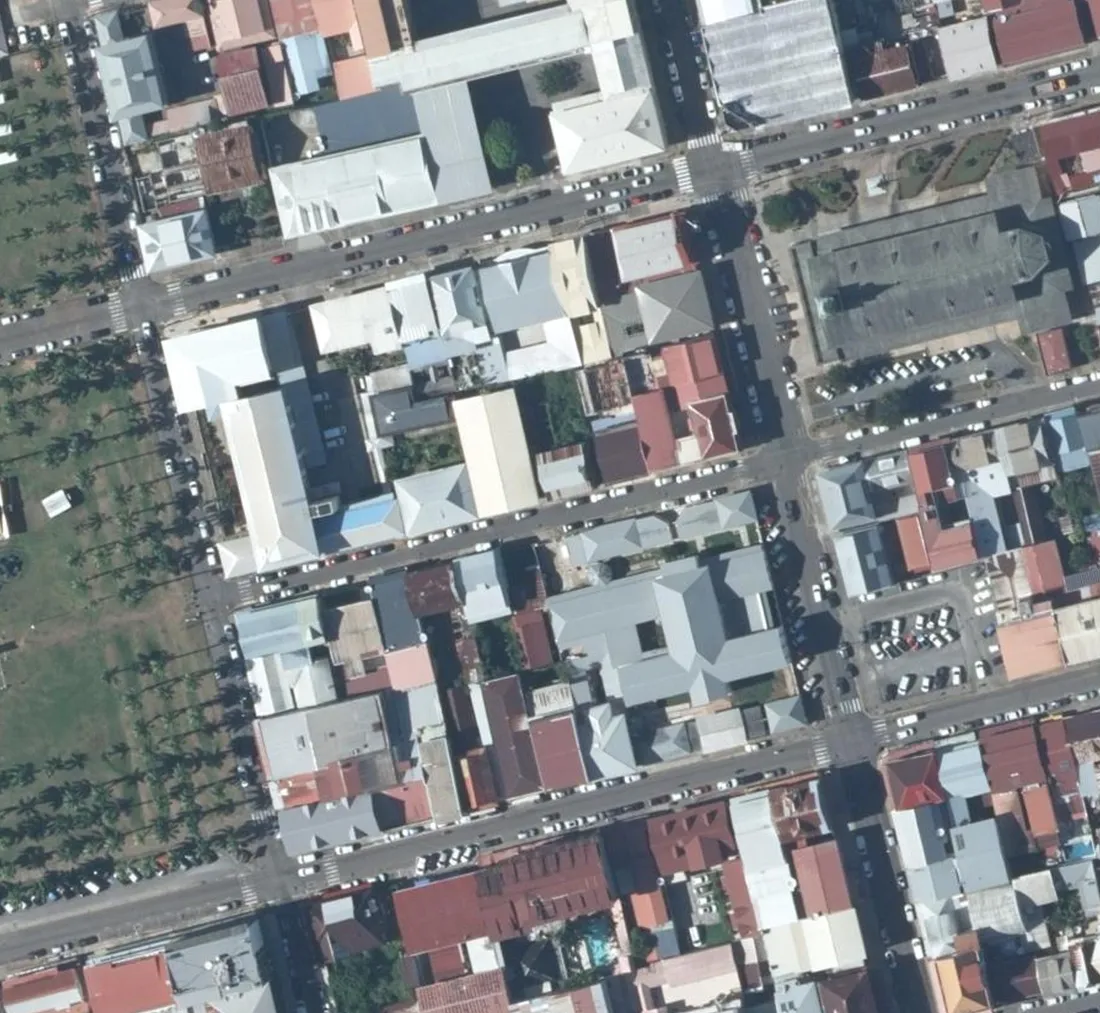 Vue aérienne du centre historique de Cayenne autour de la place des Palmistes : les alignements de palmiers de la place occupent la bande de gauche, l'avenue du Général de Gaulle traverse l'image en diagonale, le palais de justice et son patio intérieur se détachent au centre droit, la cathédrale Saint-Sauveur et son parvis en haut à droite