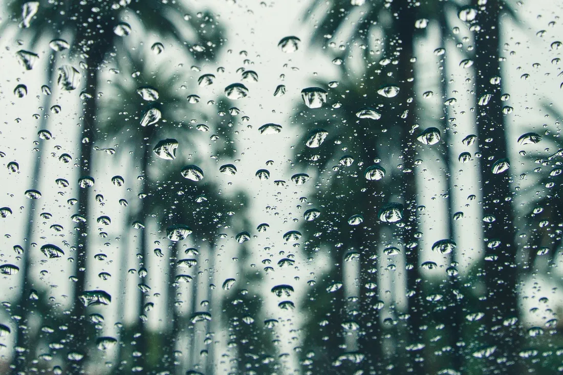 Gouttes de pluie sur une vitre devant des palmiers en silhouette sous un ciel gris, forte averse equatoriale