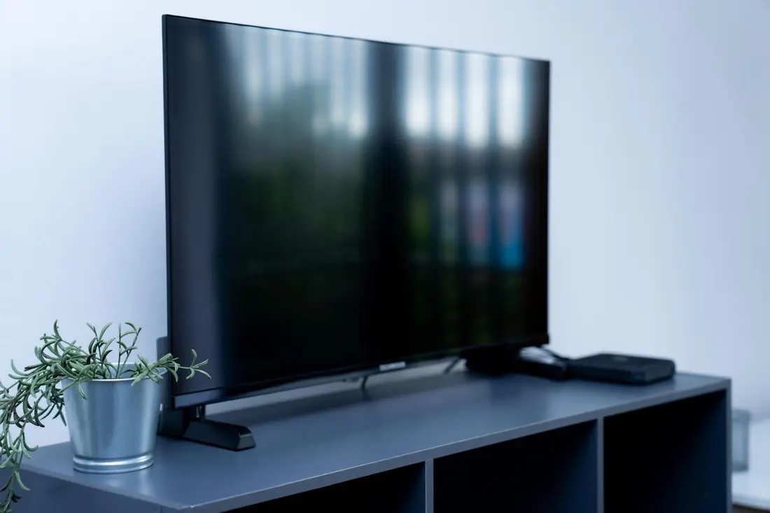 Coin télévision du Baduel Smart Studio : écran posé sur un meuble gris ardoise avec une petite plante en pot métallique