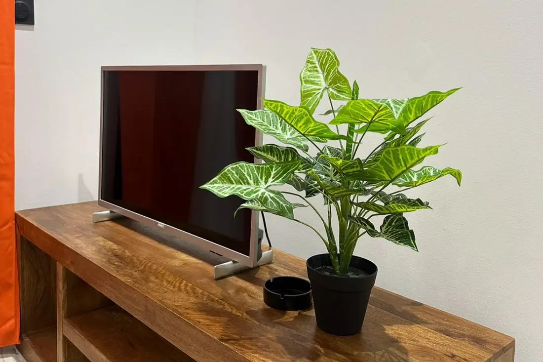 Coin salon d’un logement de la Résidence Francis : télévision sur meuble en bois massif et plante verte, rideau orange au premier plan