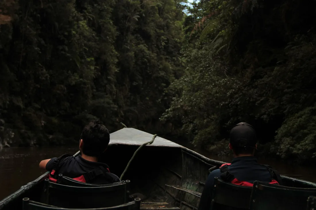 Deux hommes naviguant sur une rivière bordée de forêt dense