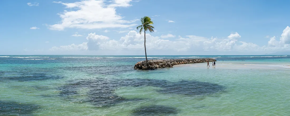 Plage du Bourg à Sainte-Anne, Grande-Terre, avec son cocotier isolé sur la digue et son lagon turquoise