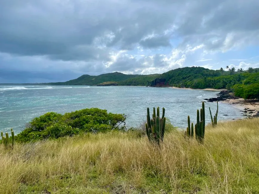 Côte sauvage de Sainte-Anne dans le sud de la Martinique avec cactus, baie turquoise et collines verdoyantes
