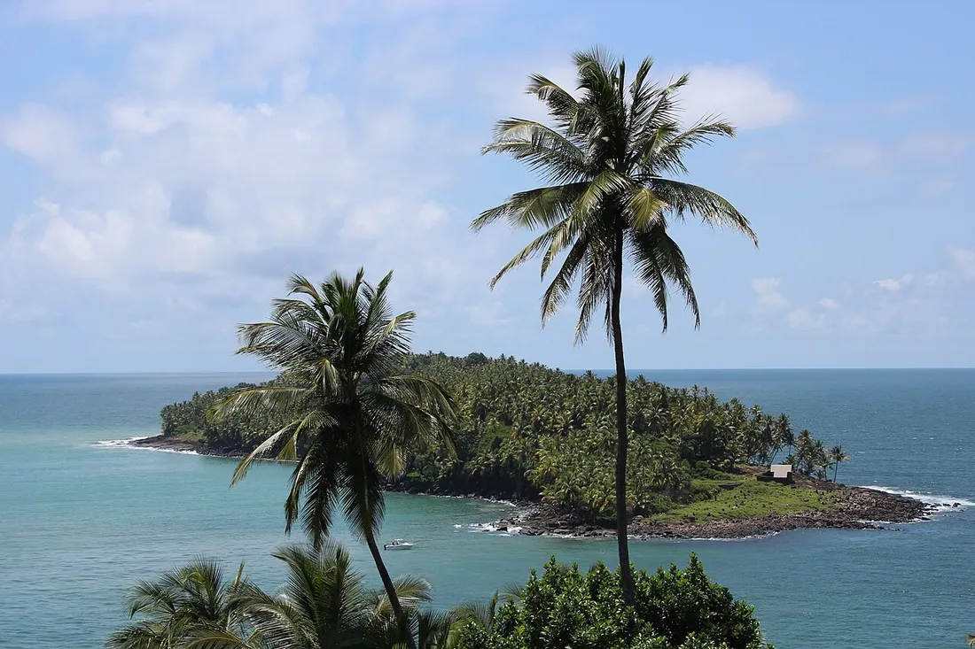 Les Îles du Salut au large de Kourou en Guyane, île couverte de cocotiers entourée d'eaux turquoise
