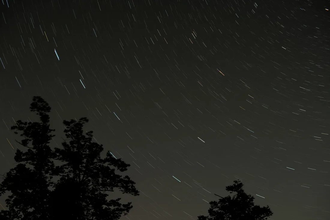 Filés d'étoiles en arcs lumineux dans un ciel nocturne au-dessus d'arbres en contre-jour