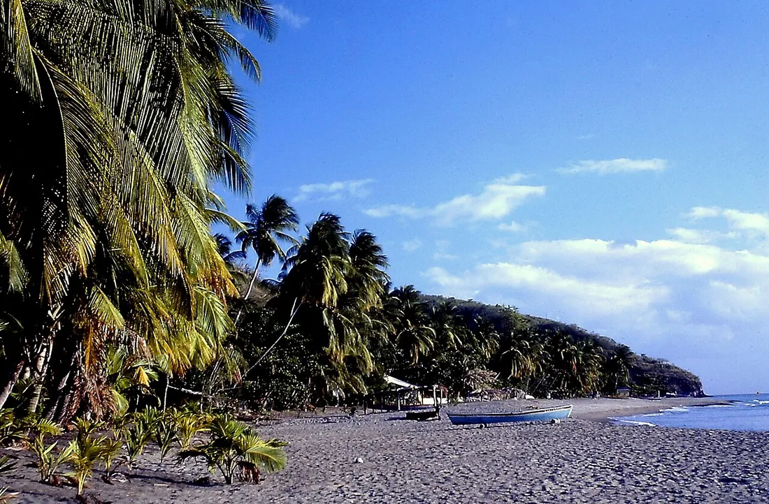 Plage de sable noir du Carbet en Martinique bordée de cocotiers, avec une barque de pêcheur posée sur le rivage