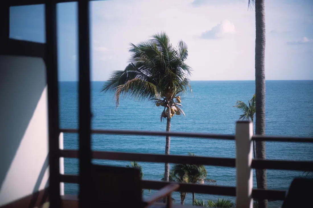 Vue sur les palmiers et l'océan depuis un balcon de logement