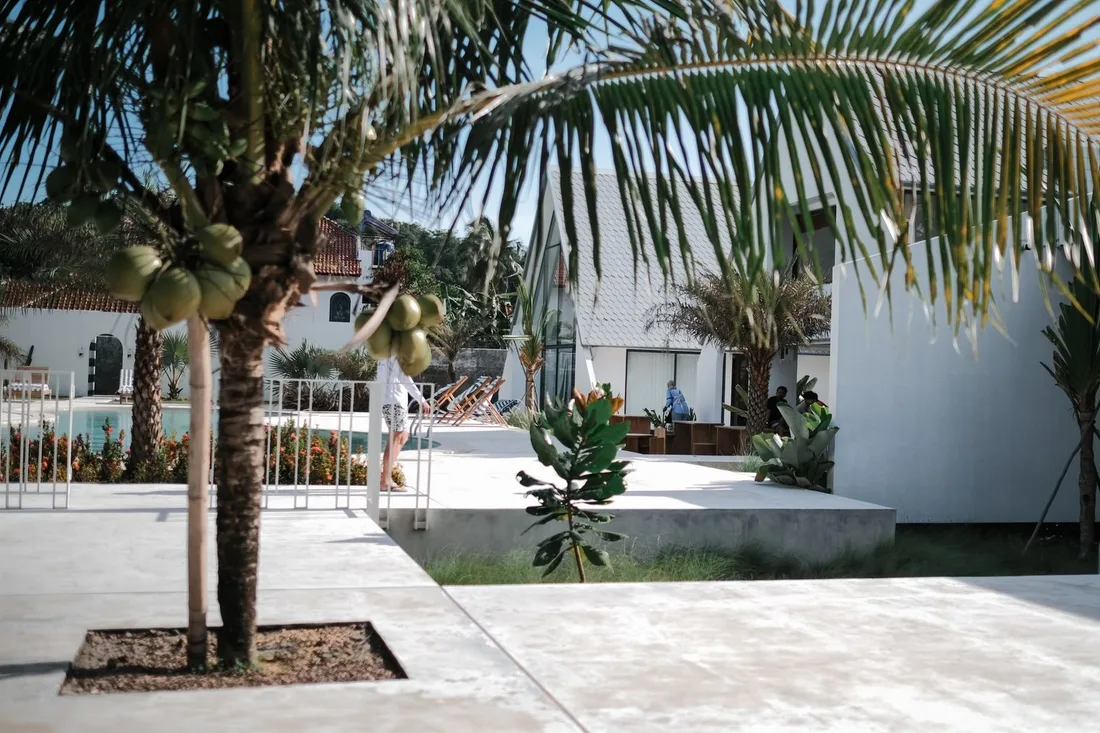 Ensemble de logements tropicaux avec palmiers et espace extérieur