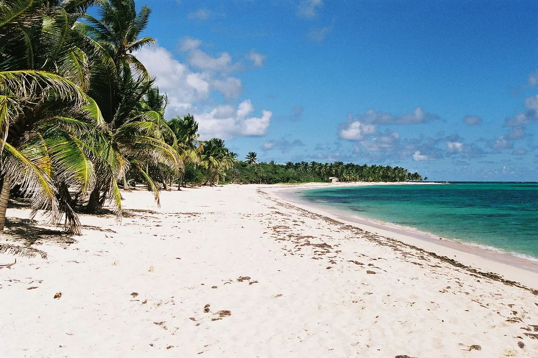 Plage Feuillère à Marie-Galante : longue étendue de sable blanc bordée de cocotiers face à une mer turquoise