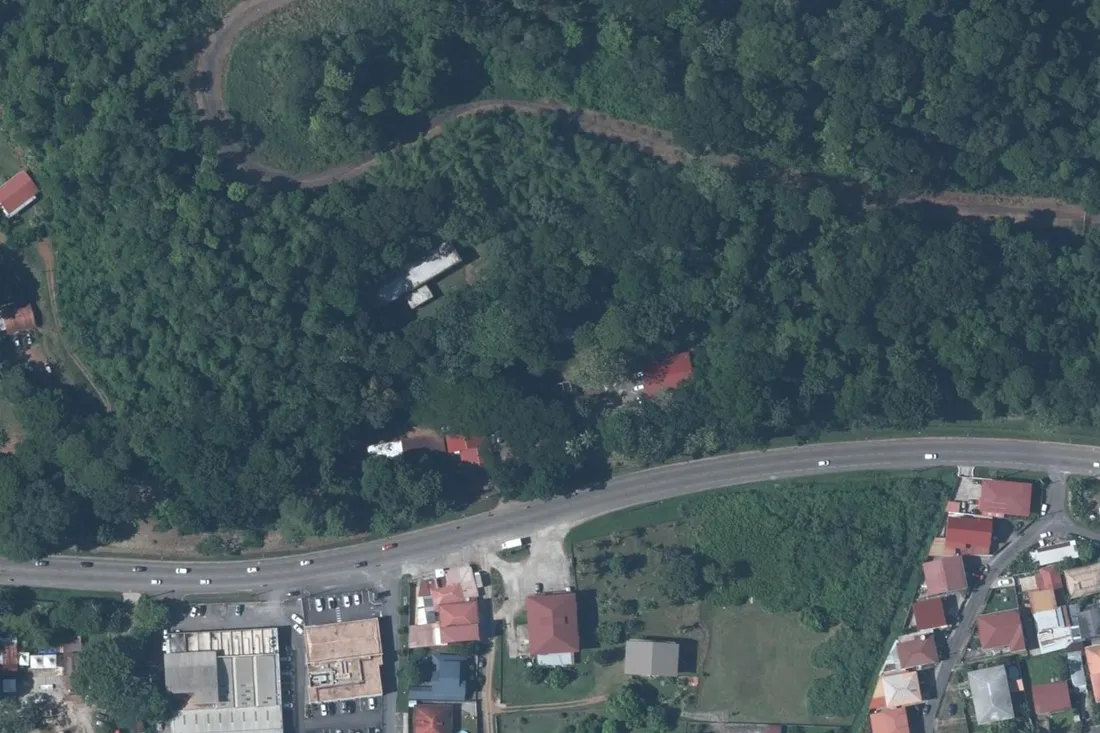 Orthophotographie verticale de la route de Montabo à Cayenne : la deux-voies qui traverse l'image en bas, et au-dessus le versant boisé du Montabo où quelques bâtiments — un long bâtiment clair, une toiture rouge — apparaissent sous le couvert des arbres