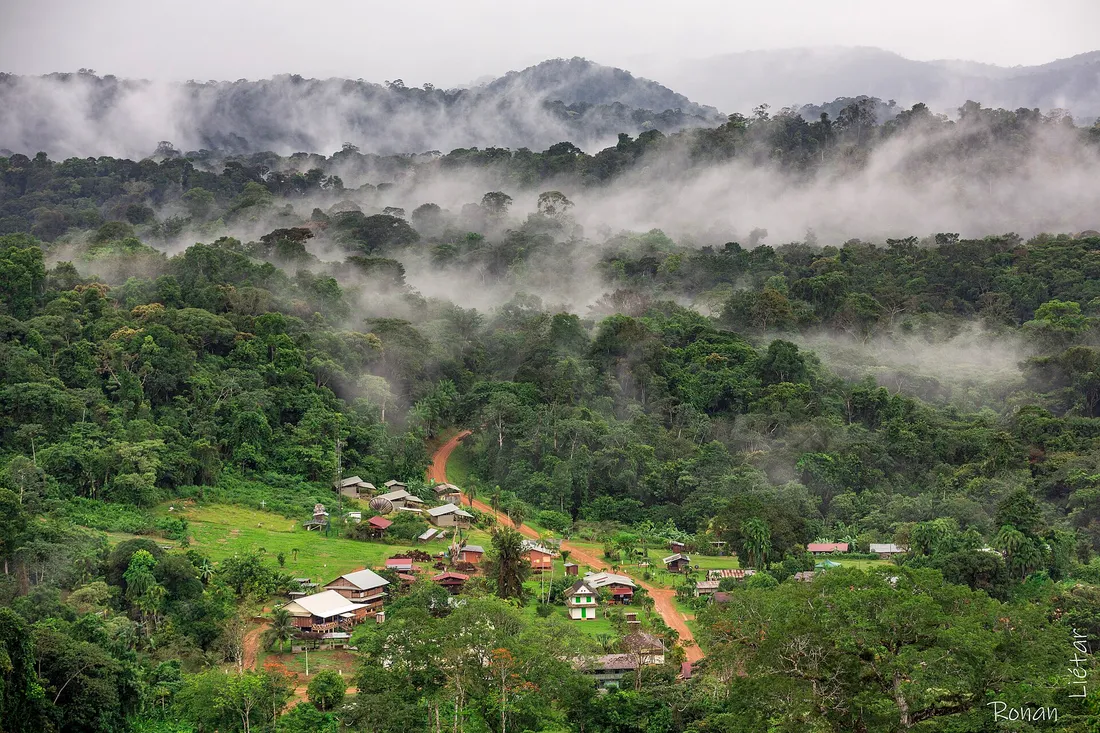 Le bourg de Saül vu depuis le belvédère : une trentaine de maisons de bois aux toits de tôle réparties le long d'une piste de latérite rouge, une clairière herbeuse, et tout autour la forêt sur des collines noyées de brume