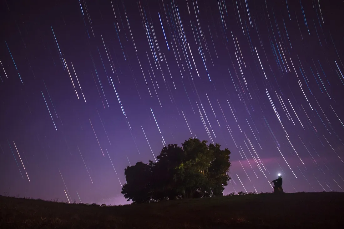 Pose longue montrant des filés d'étoiles violets au-dessus d'une silhouette d'arbres