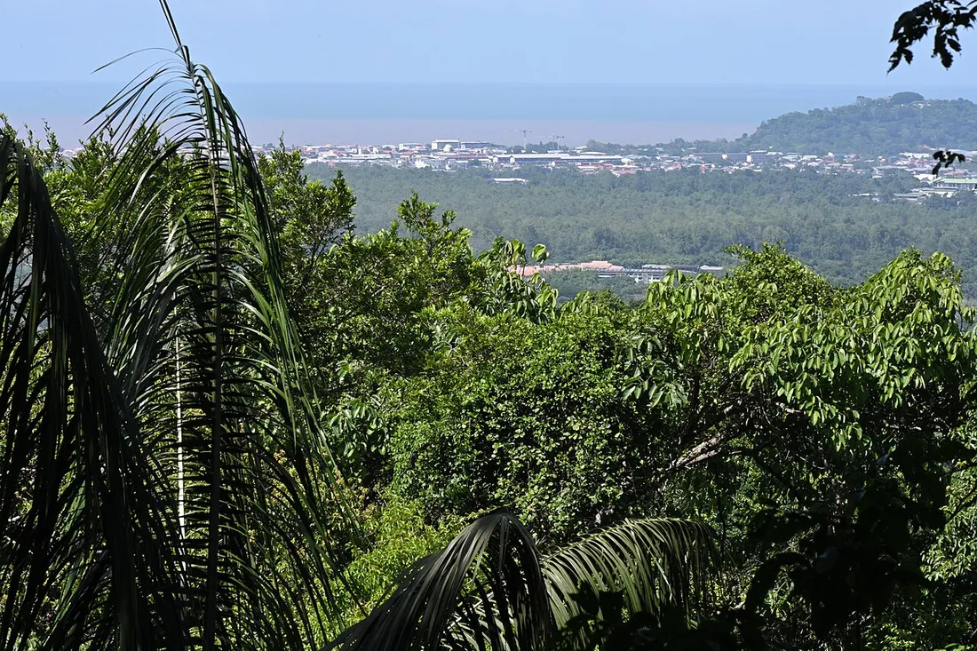 Vue panoramique sur Cayenne depuis les hauteurs du mont Grand Matoury