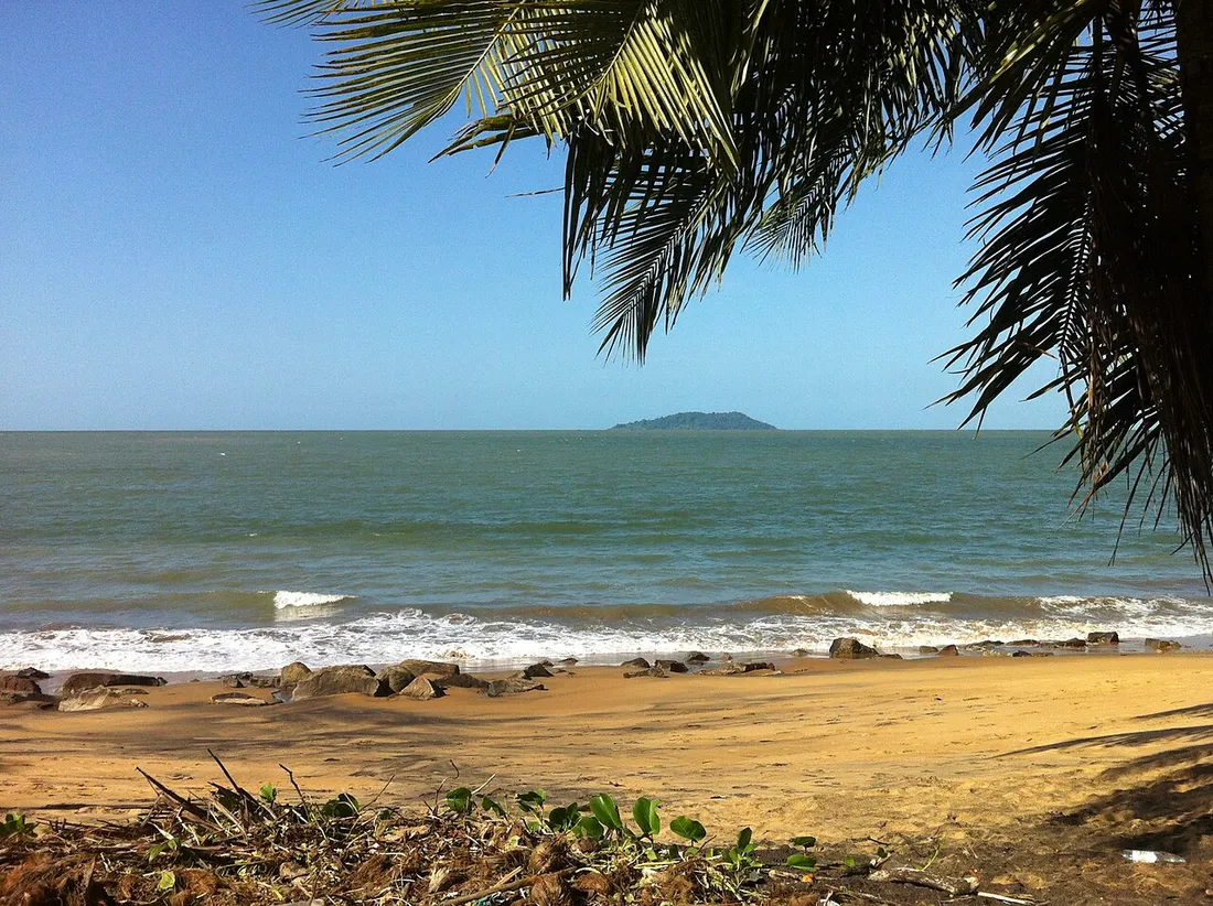 Plage de sable bordée de végétation à Rémire-Montjoly, en Guyane