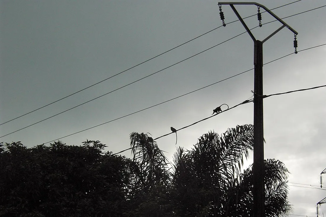 Rue du bourg de Sinnamary, en Guyane