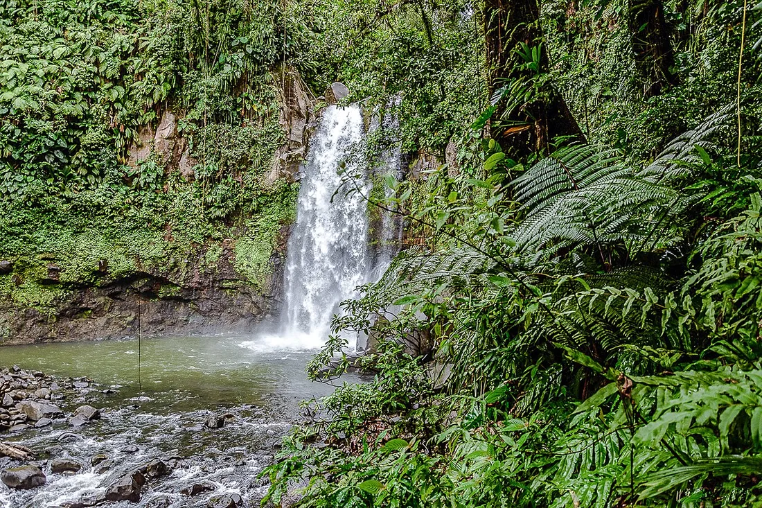 La troisième chute du Carbet et son bassin entourés de végétation tropicale dense, sur un sentier de randonnée du Parc national de Guadeloupe