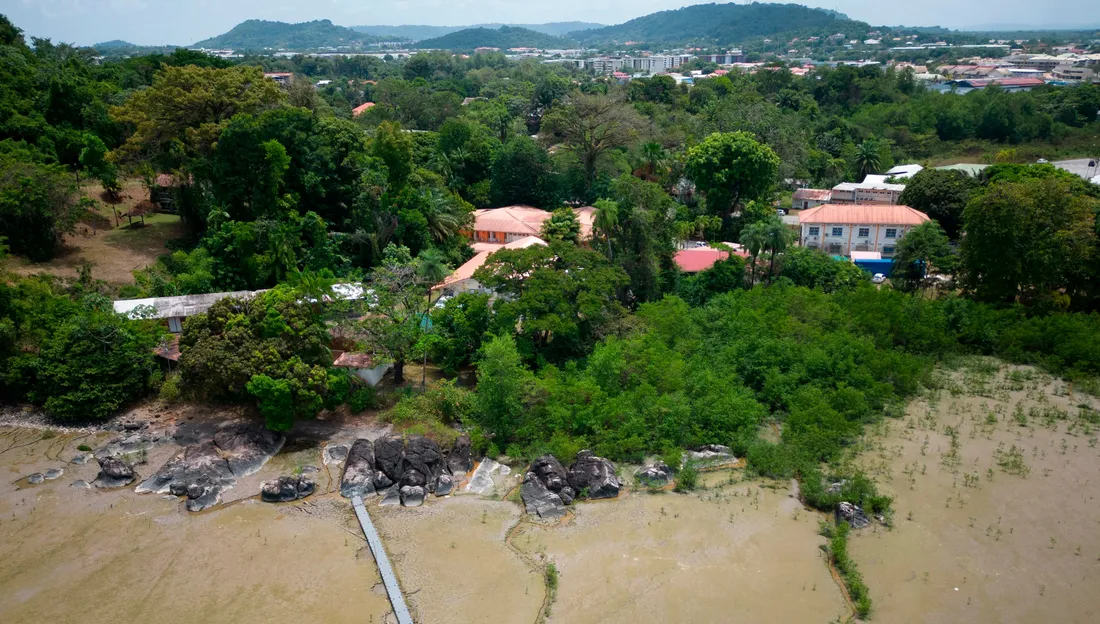 Vue aérienne oblique du centre IRD de Cayenne, sur la pointe de Montabo : bâtiments de recherche à toitures orangées au milieu des arbres, ponton posé sur la vasière au premier plan, ville de Cayenne et collines à l'arrière-plan