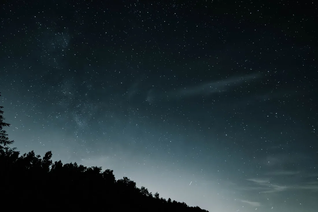 Ciel nocturne étoilé au-dessus d'une ligne d'arbres, horizon parfaitement dégagé