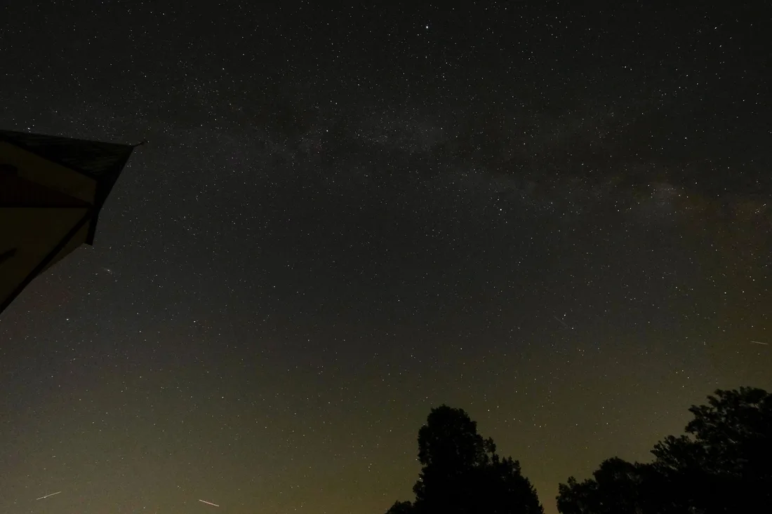 Voie lactée au-dessus d'une ligne d'arbres se découpant sur l'horizon